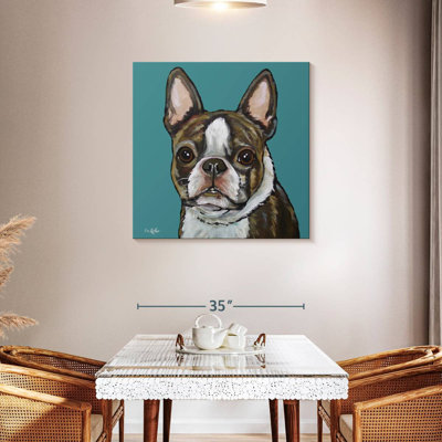 Brampt Sasha Boston Terrier sur sarcelle