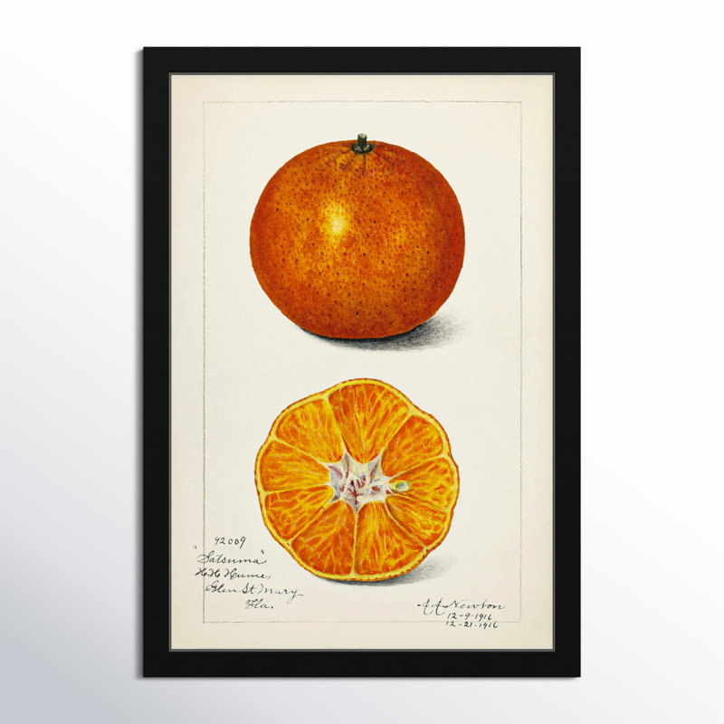 Nature morte par - reproduction de cadre photo, Blanc, H 32 po x l 22 po
