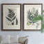 Collected Ferns VI " Collected Ferns VI " 2 - Pieces Painting Print-173311544-173311527