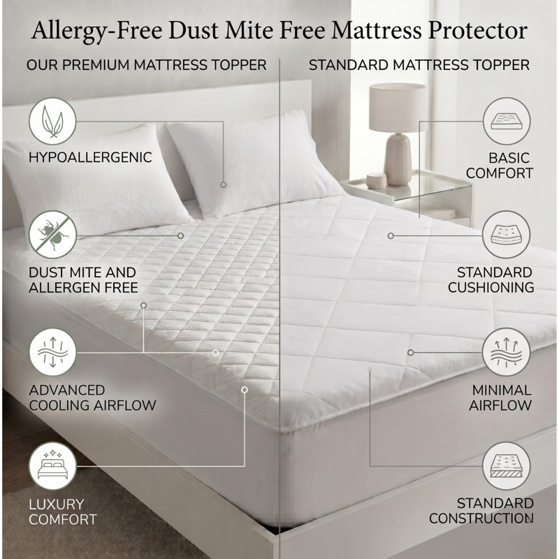 Boden Allergy-free Dust Mite Free Mattress Pad, Full