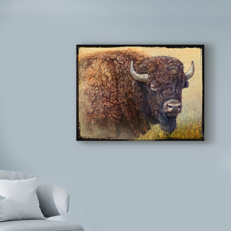 «Bison Portrait I» par Chris Vest - impression sur toile, H 24 po x l 32 po x P 2 po