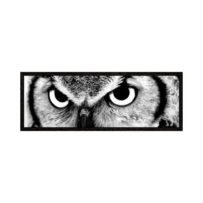 Owl Eyes by PhotoINC Studio - Floater Frame Panoramic Gallery-Wrapped Canvas Giclée on Canvas