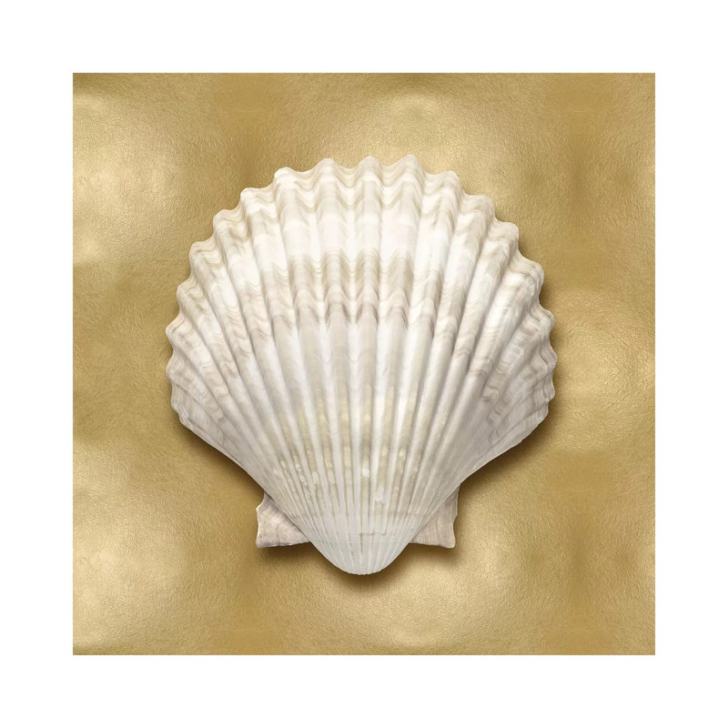 Shell On Gold IV by Caroline Kelly - Wrapped Canvas Painting, 30.48 cm H x 30.48 cm W