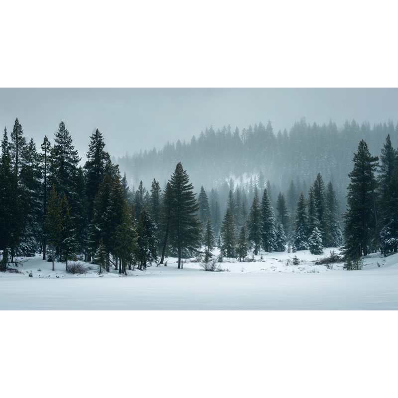 Art mural sur toile Misty Evergreen Valley, H 27,5 po x l 55 po