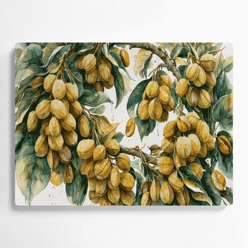 «Fruit Longan», art mural en métal brun, H 11 po x l 14 po