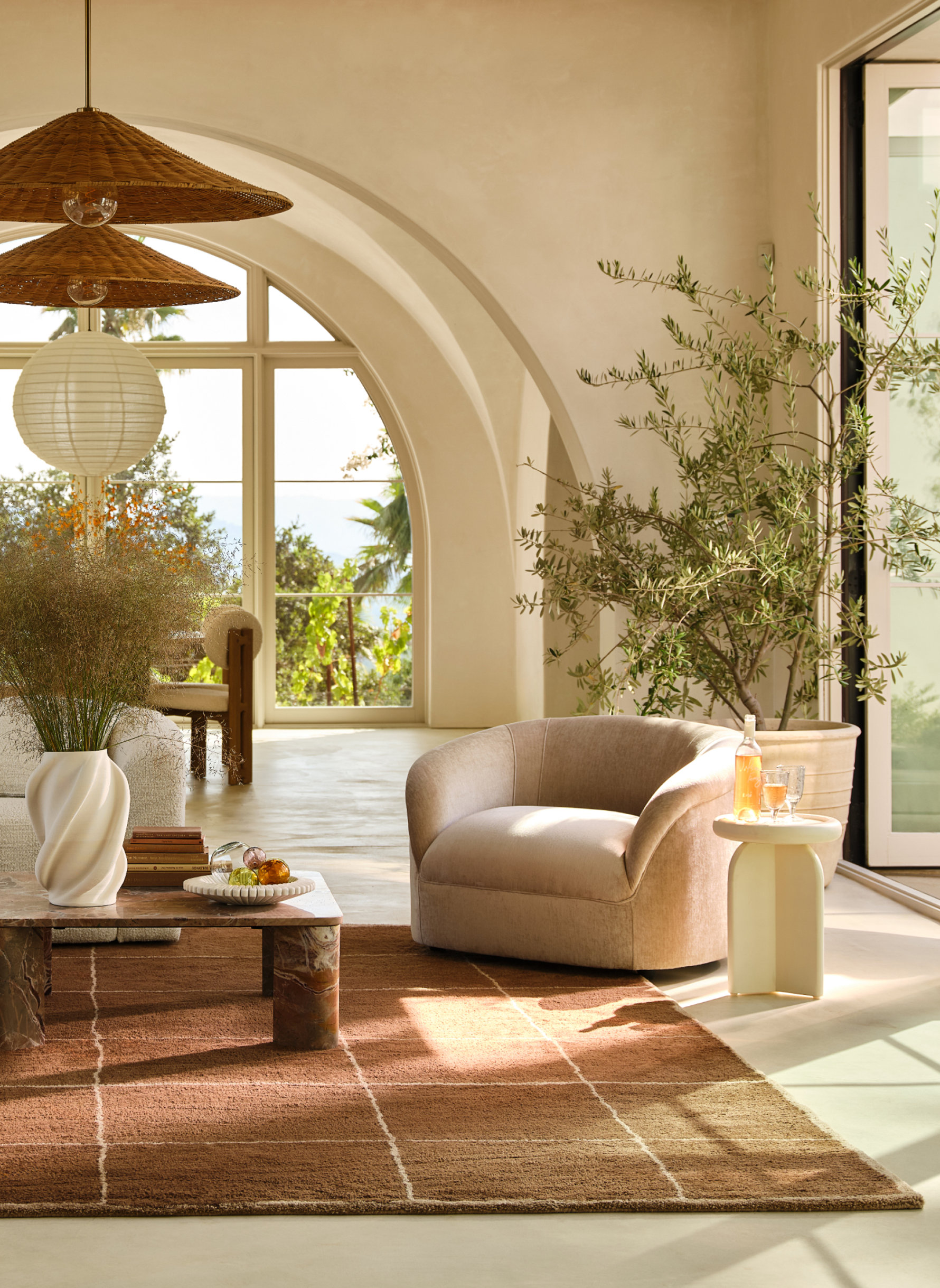 Shop Indoor Rugs