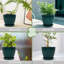 Pot Planter