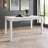 Ketra 59.1" Dining Table