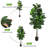 5'' Faux Banana Leaf Tree