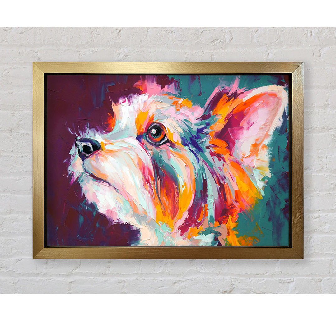 Vibrant Yorkshire Terrier Gerahmter Druck