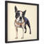 « boston terrier », impression