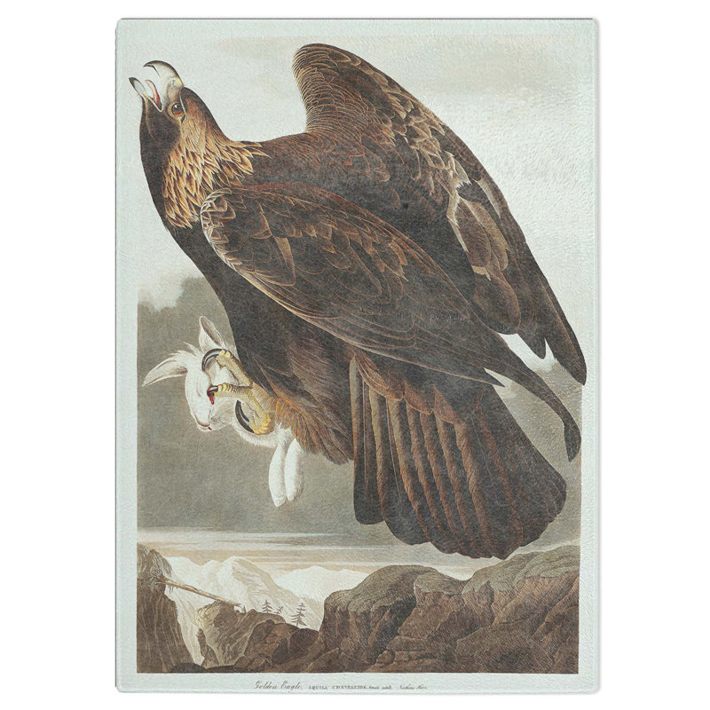 Glass Golden Eagle by John James Audubon Chopping Board, 39 cm W x 28.5 cm L
