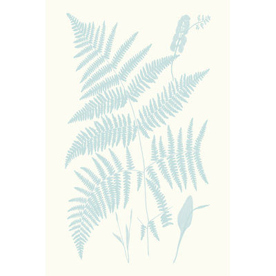 Serene Ferns I - Wrapped Canvas Painting