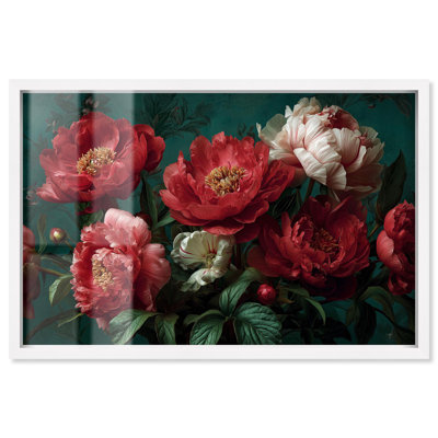 Pivoine opulence rose