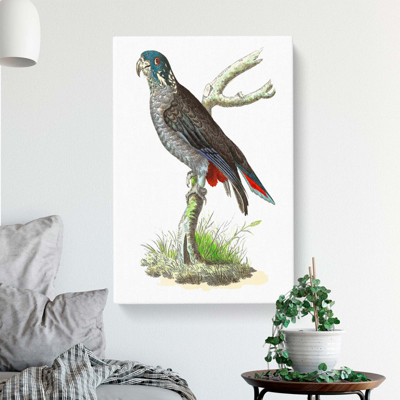 Dusky Parrot by George Shaw - Wrapped Canvas Painting, 50cm H x 35cm W x 3cm D