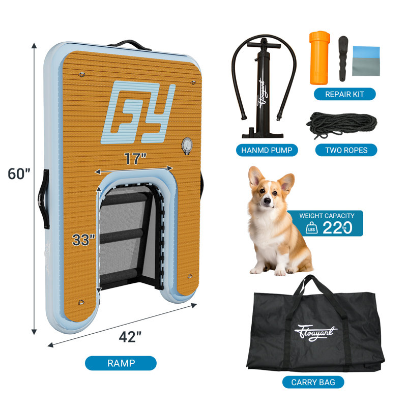 Jouets pour chien et piscine gonflable