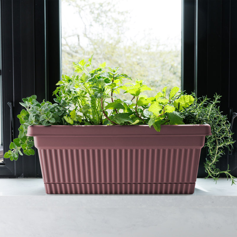Boîte à fleurs en plastique avec plateau à soucoupe Vaneka, Rose