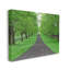 "Stupell Industries Tree Grove Path", art mural sur toile par Dennis Frates-91298557-91298554