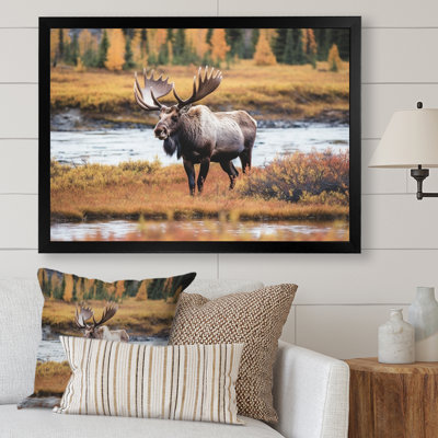 Orignal en Alaska, paysage I - animaux, impressions sur toile