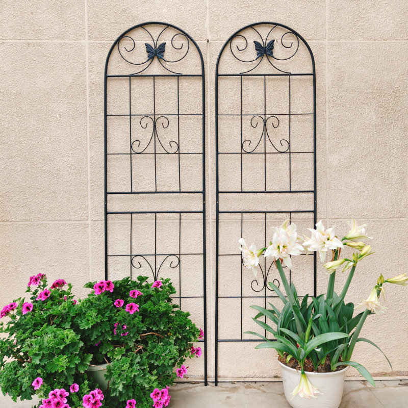 Paquet de 2 treillis de jardin en métal pour plantes grimpantes, support pour fleurs d'extérieur, antirouille, noir