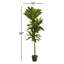 Plante artificielle en pot-1170770636
