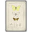 «Botanical Butterfly», reproduction d'art sur toile par Art Remedy-105276631-105276643