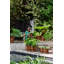Planter Box-72816952-72816953