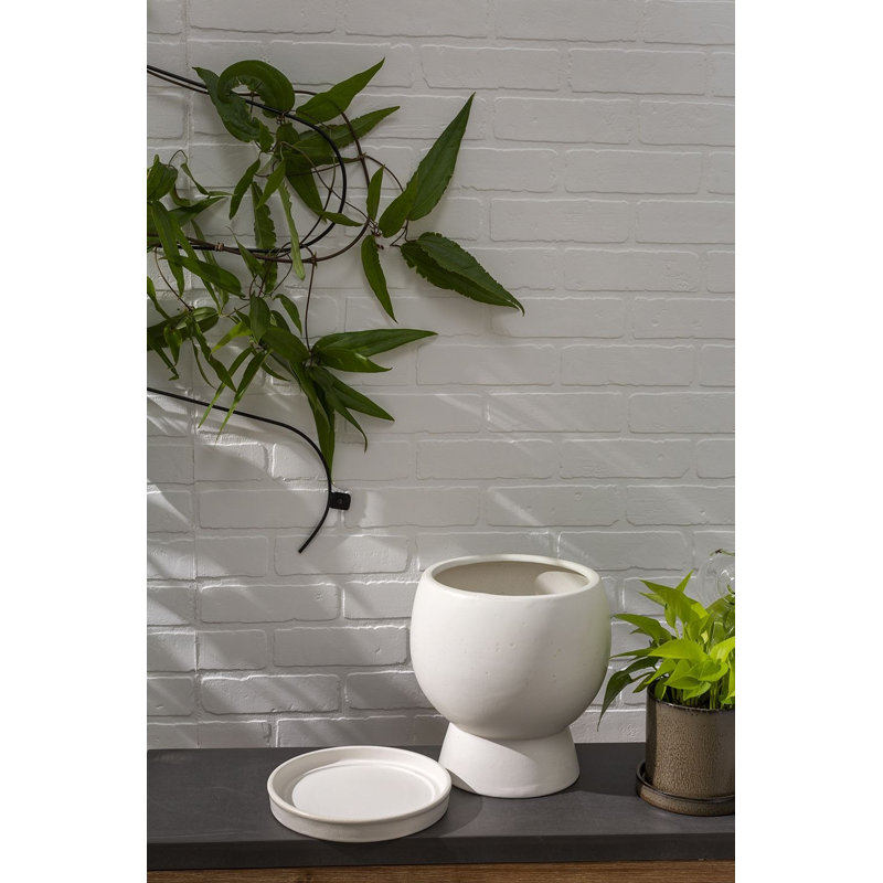 Goodlow Ceramic Pot Planter, 10.25" H x 9" W x 8.75" D