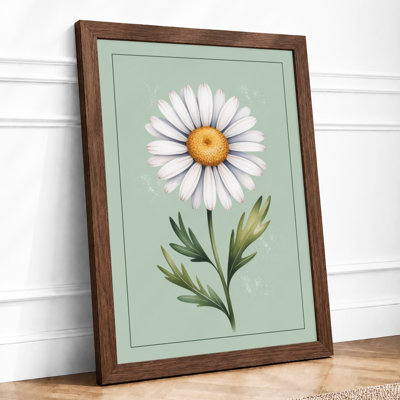 Daisy Botanical - Framed Print