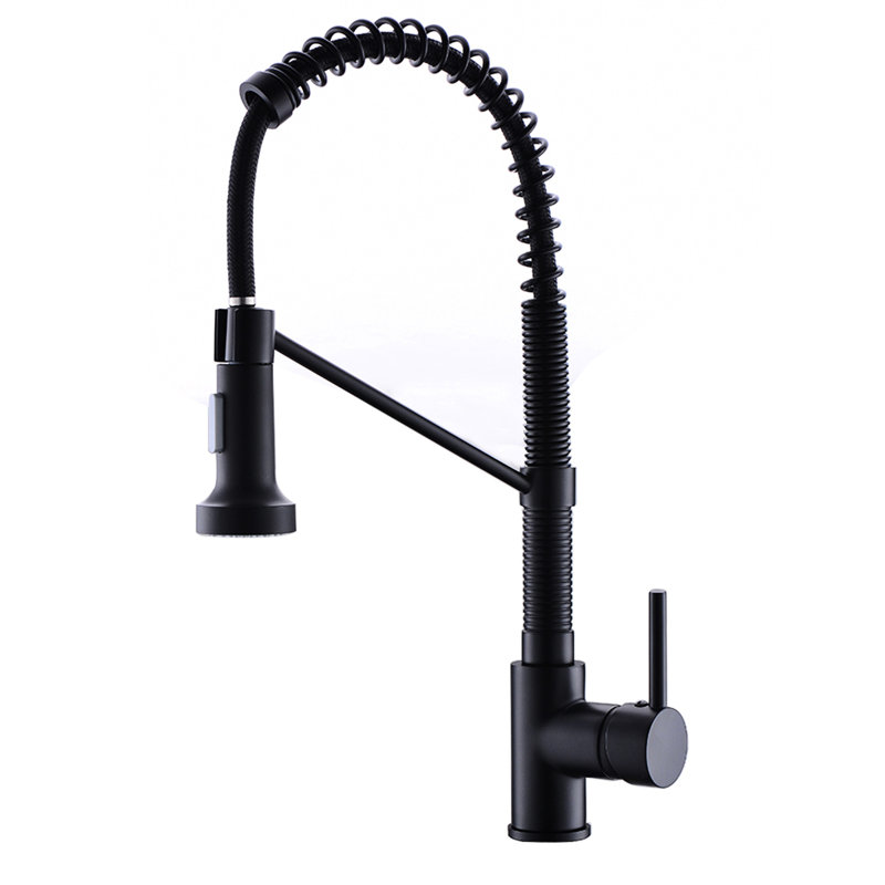 Robinet de cuisine à eau chaude et froide, noir, rétractable, laiton, robinet mélangeur à poignée simple, évier moderne, réglage de la température