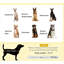 Lit surélevé portatif pour chien-380906523-376395720