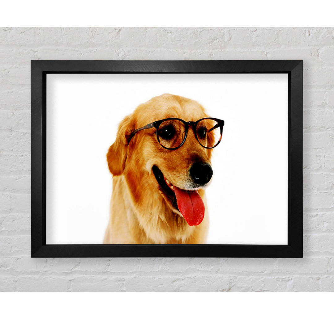 Golden Retriever Nerd Gerahmter Druck