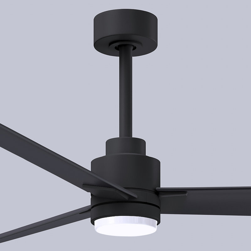 Alessandra - Three Blade Transitional Ceiling Fan -LED, Matte Black, 56", Matte Black