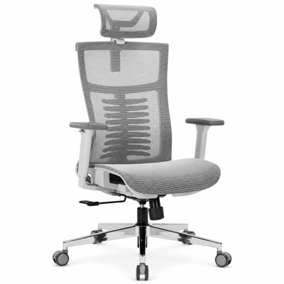 Nyxi Office Chair