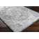 Hodder Machine Woven Oriental Blue Area Rug