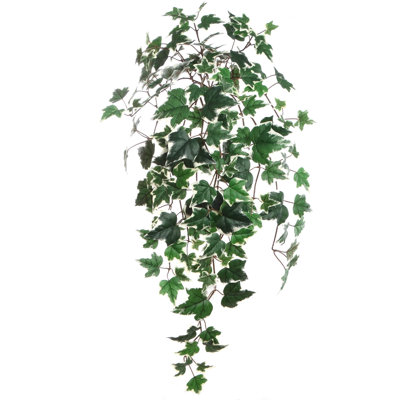 Variegated English Ivy Bush W/ 157 Silk Leaves 33" Long - 4 Pack