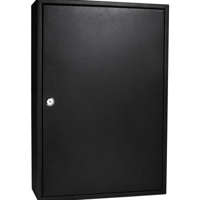 200 Key Steel Cabinet - Wall Mounted With Adjustable , Lock, And Colorful Tags For Organized Storage In Various Locations Locked Adjustable, Easy Identification Environments