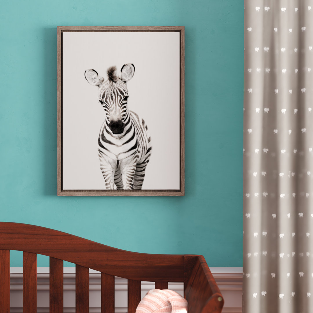 Animal Studio Zebra by Amy Peterson Framed Canvas Wall Art Print Trinx
