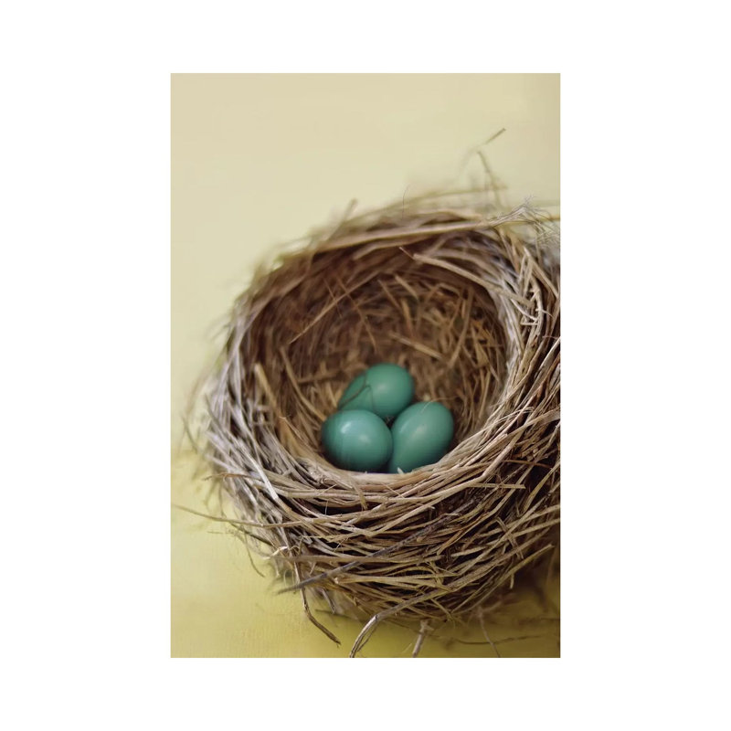 Nest by Mandy Lynne - Wrapped Canvas Print, 20.32 cm H x 30.48 cm W