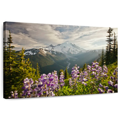 Alvord Mt. Rainier