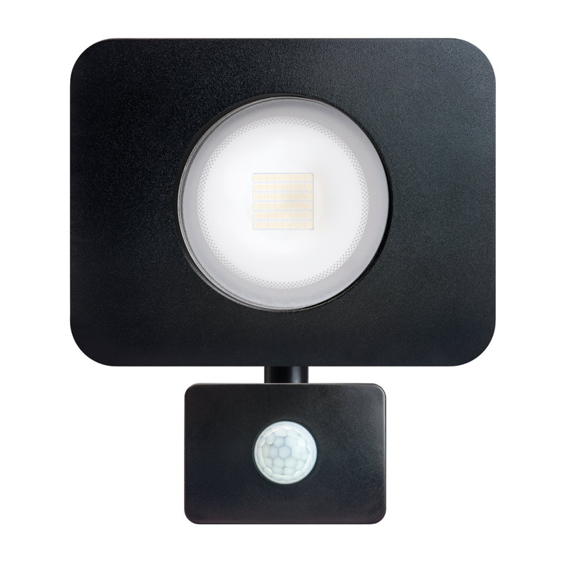 Oxendine 1-Light LED Flood Light