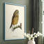 French Owls II, reproduction encadrée - bois massif-1543572065-1543572058
