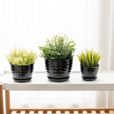 Nutan Ceramic Pot Planter
