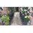 79.5 W x 19.7 D Iron Arbor with Gate and in Black
