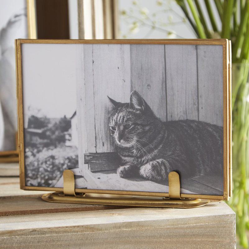 Cassidy Gold Metal Gilded Picture Frame - Set of 2