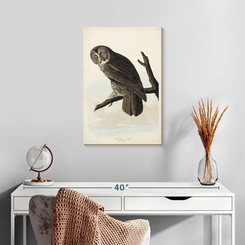 Brampt Great Cinereous Owl, 24" H x 16" W