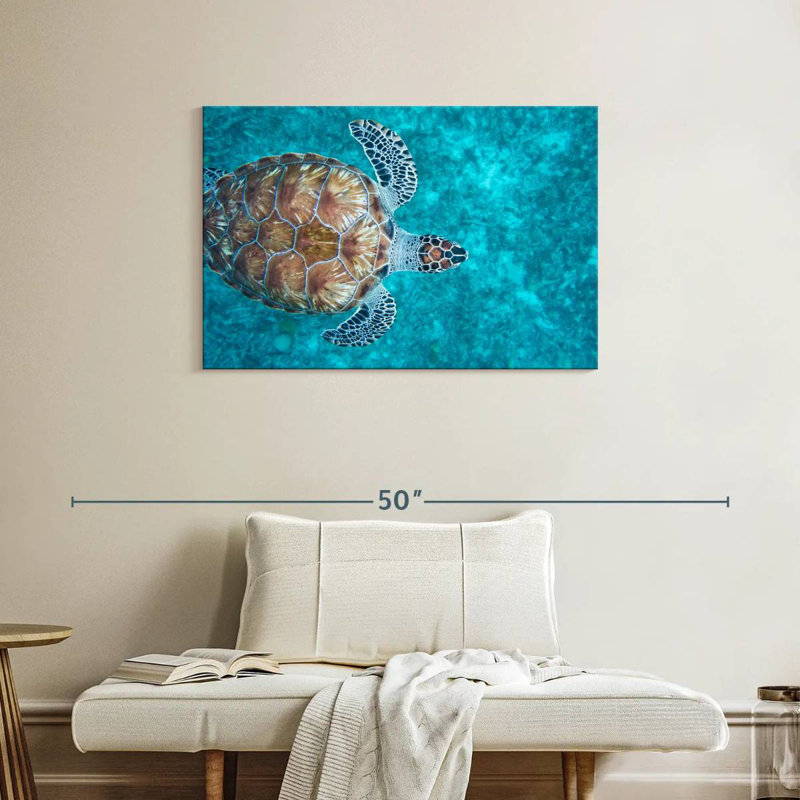 Natation tortue imbriquée, H 24 po x l 36 po