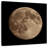 Oberle Moon Detail II
