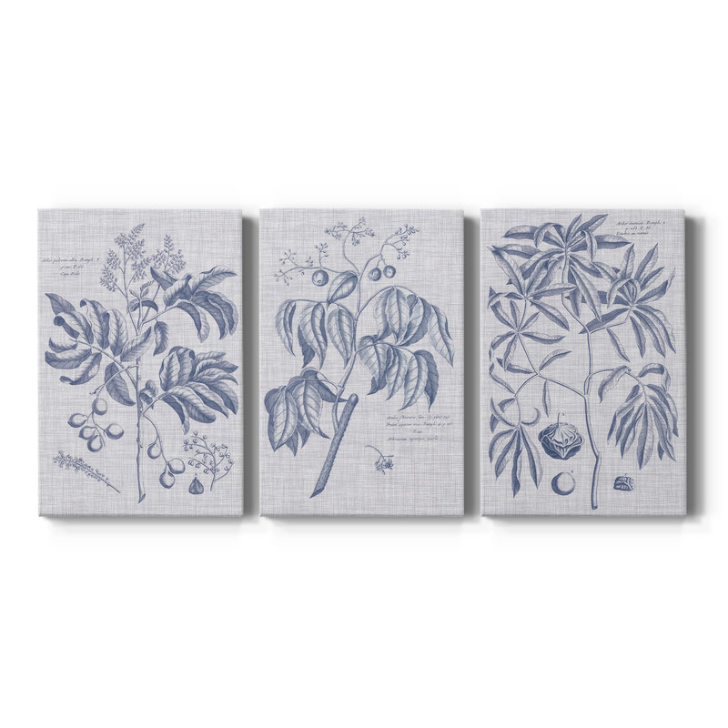 Marine et lin botanique IV - Toile tendue sur mesure - 3 pièces, H 12 po x l 24 po