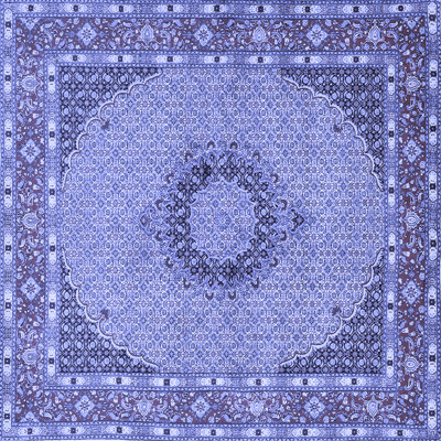 Ilyan Oriental Indoor Rug